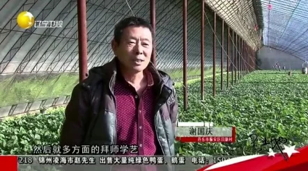 黑土腿法娴熟脚法精湛的背景故事：讲述一位来自黑土地的武术大师，如何通过艰苦训练和独特技艺在武林中崭露头角