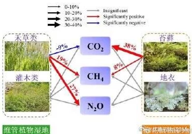 结合处粘腻水声拍打声引发广泛关注，科学家称其可能预示着重大生态变化！