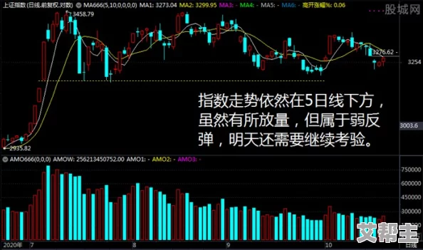 xxxxxt：深入分析这一现象背后的原因及其对社会的影响，探讨未来可能的发展趋势与应对策略