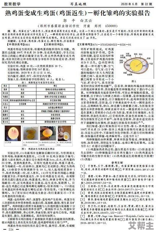 牝教师4～秽された教坛～第6集：引发热议的教育伦理争议与社会反响，观众期待后续发展