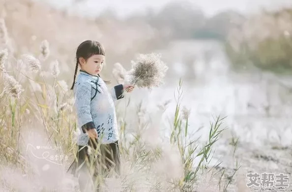 芦苇地里母亲说经典场景：在风中轻声细语，传递着岁月的温暖与无尽的思念