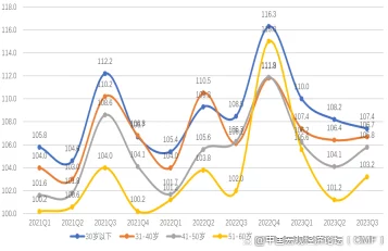 chinesebdsm系列国产：最新动态揭示该系列在国内市场的受欢迎程度及其未来发展方向，引发广泛关注与讨论