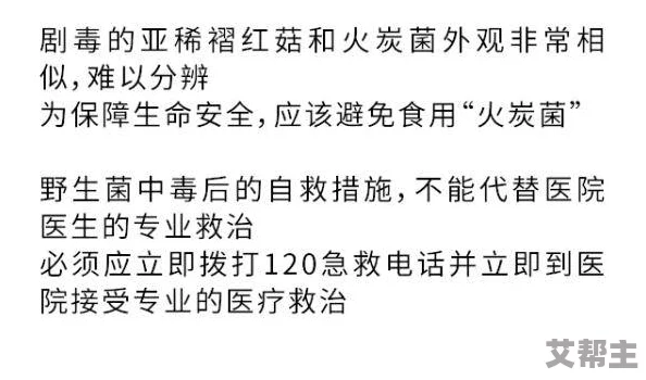 99爱爱视频，内容丰富多样，让人目不暇接，真是个不错的选择！