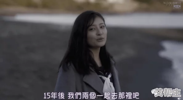 欧美日韩激情网友评价 这部作品在情感表达上非常细腻，剧情紧凑且引人入胜，让人忍不住想要一口气看完，非常推荐给喜欢此类题材的观众