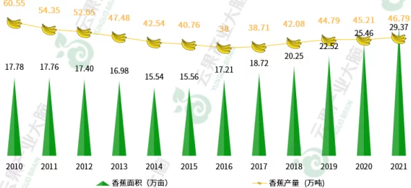国产香蕉尹人综合在线观最新进展消息显示国内市场需求持续增长，种植技术不断提升，预计未来产量将大幅增加