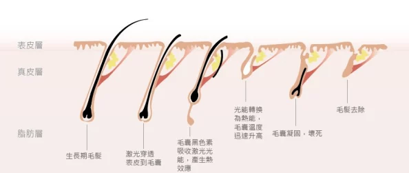 女医生揉捏gl专业手法令人赞叹，值得信赖的医疗体验