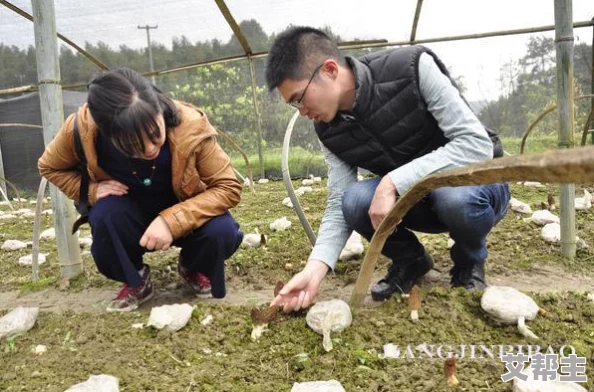 亚洲成人在线网站扶贫村里的年轻人